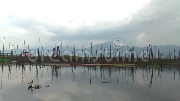 沼泽或湖泊情况和天气的看法视频的预览图