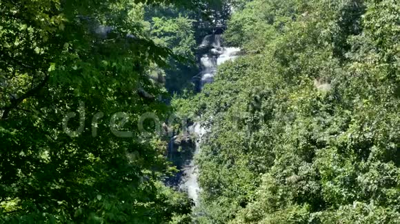 佐治亚州阿莫科拉瀑布夏天从树上可以看到阿莫科拉瀑布的广阔景色视频的预览图