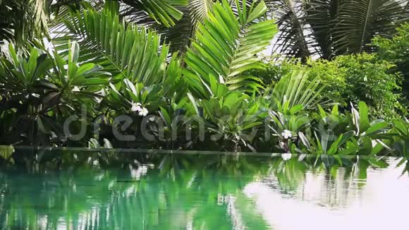 绿松石环绕泳池的青绿色水面视频的预览图