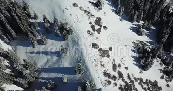 哈士奇和一群人在针叶树之间的雪坡上奔跑在山里奔跑视频的预览图