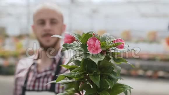 一幅农业部门的男性工人手里拿着一朵小花的画像视频的预览图