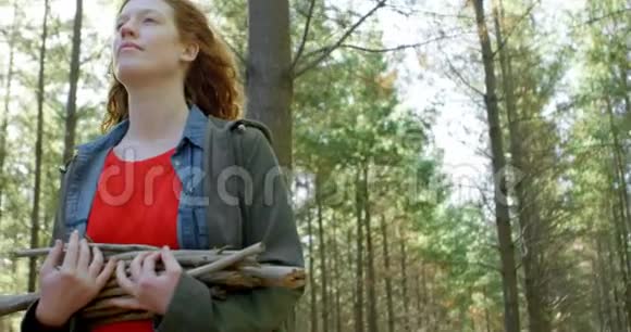 森林中拄着木棍行走的女子4k视频的预览图