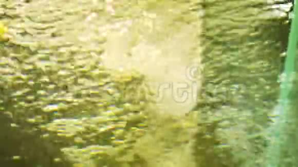 水族馆背景中的氧泡泡视频的预览图