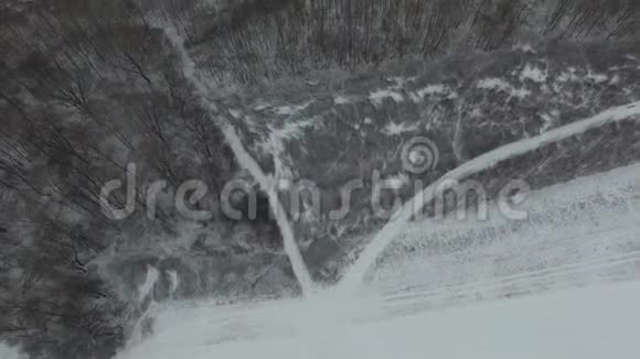 空冬林鸟瞰图视频的预览图