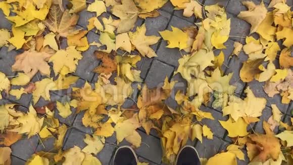 在秋天的公园里满是树叶的街道上近距离射击视频的预览图