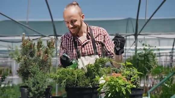 一个快乐的园丁完美地跳舞照顾大温室里的植物一个穿着花园围裙的男人视频的预览图