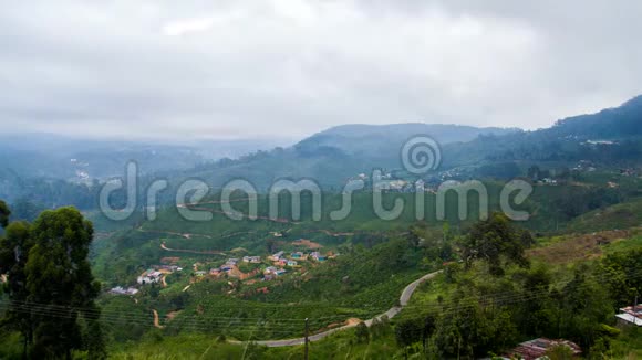 山区茶园景观Haputale斯里兰卡时间推移视频的预览图