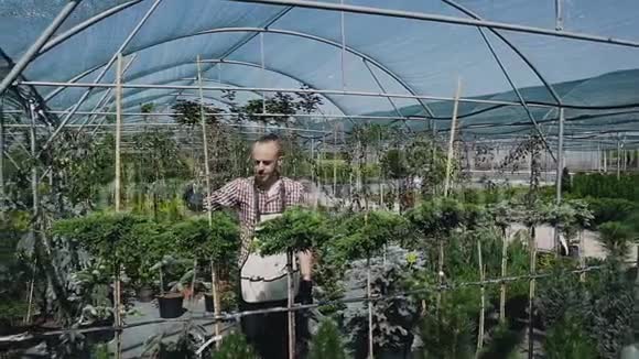 总图摄像机移动漂亮的女园丁用围裙给植物和花园浇花视频的预览图