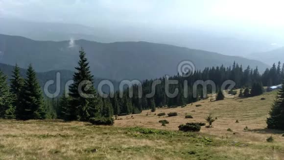 云杉山和天空环境在阳光明媚的日子里喀尔巴阡山的绿色景观视频的预览图