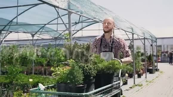 一位带着微笑的年轻园丁穿着围裙在花园马车的帮助下把观赏植物带到温室里视频的预览图