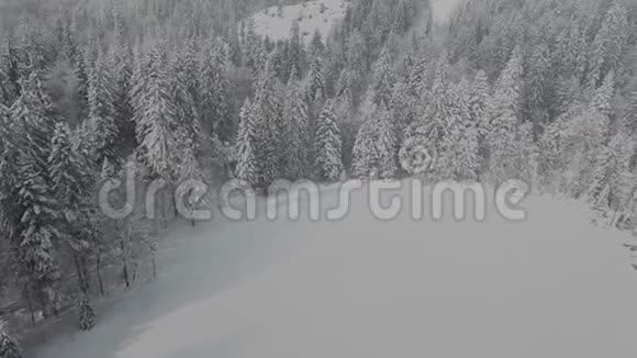 令人惊叹的无人机镜头森林和冰冻的湖泊覆盖着新鲜的雪落视频的预览图
