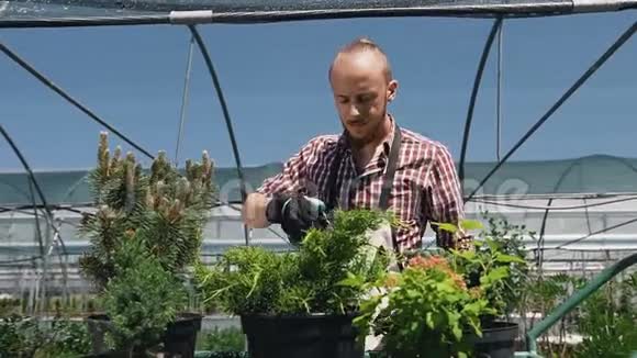 在温室里用喷雾器浇花的年轻人爱护植物健康生态年轻的园丁视频的预览图