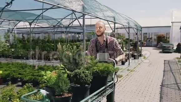 一个留胡子的人穿过温室进行美丽装饰树木的花园手推车幼苗视频的预览图