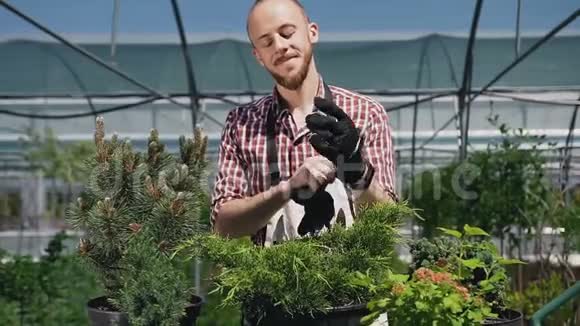 一个穿着带花园工具的围裙戴手套的快乐男人园丁在花园里加工绿色植物软软软视频的预览图