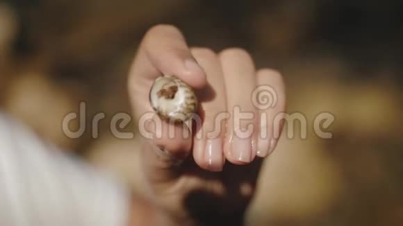 一只小螃蟹从贝壳里出来它被一个女孩抓住视频的预览图