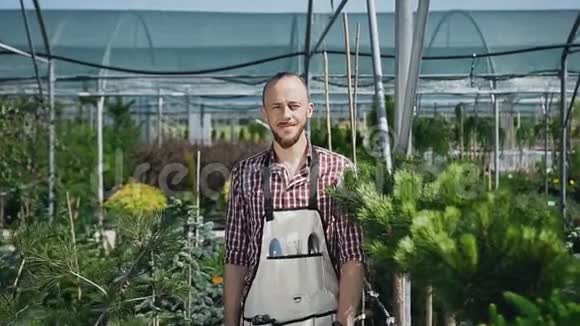 坐摄像机胡子园丁看着相机微笑农业温室里的晴天肖像视频的预览图