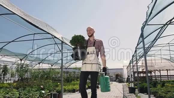 一个穿着离合衫的园丁和一个园艺工具去温室种植观赏植物一个大晴天视频的预览图