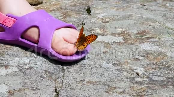 特写镜头一只美丽的橘山蝴蝶在凉鞋中旋转着飞过一个孩子腿蝴蝶坐在上面视频的预览图