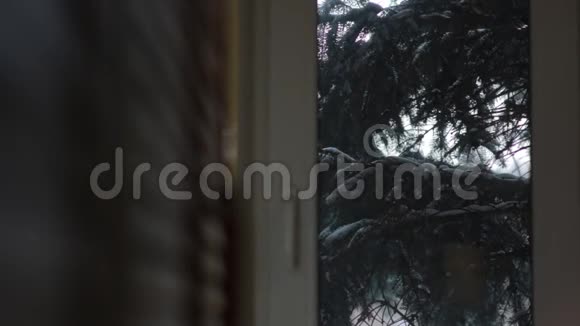 窗外的雪视频的预览图