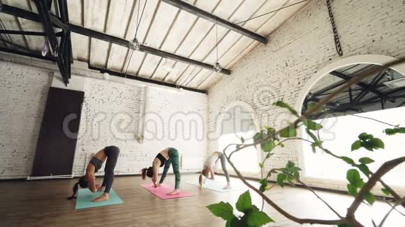 女性瑜伽学生做伸展运动和前弯姿势的侧视白色现代阁楼风格工作室视频的预览图