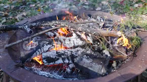 原木树枝和树枝在缓慢运动中燃烧视频的预览图