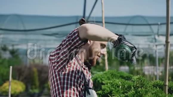 小胡子男园丁穿着休闲装戴着保护手套巨大的植物园园丁倒了视频的预览图
