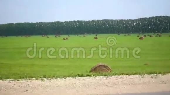 一卷干草在田里视频的预览图