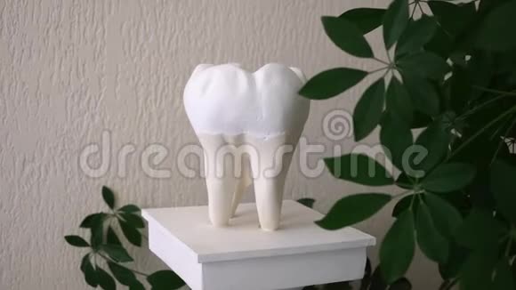 人造牙齿模型图视频的预览图