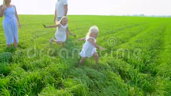 一个四口之家的年轻幸福家庭和两个孩子一起在一片绿色的田野上有孩子的家庭夏天散步的孩子视频的预览图