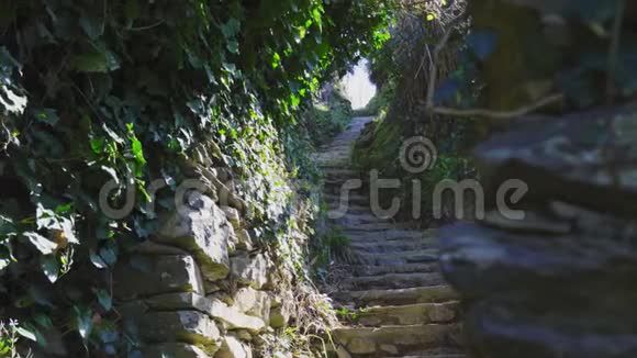 意大利CinqueTerre蒙特罗索徒步旅行小径上的楼梯视频的预览图