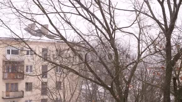 第一场降雪在城市与房屋和橡树背景下缓慢移动4K视频视频的预览图