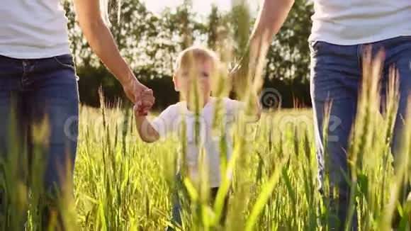 幸福家庭的概念一家三口人的特写镜头在一片小麦小穗的田野里走着视频的预览图