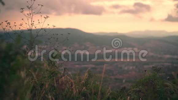 在群山和蓬松的云层的背景下野草在风中摇曳视频的预览图