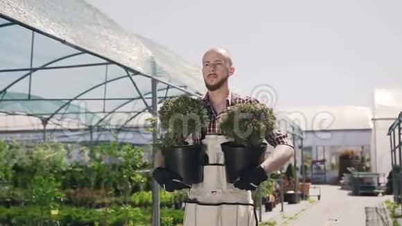 一位留着胡须的美丽园丁微笑着手里握着观赏植物一个年轻人用园艺工具视频的预览图