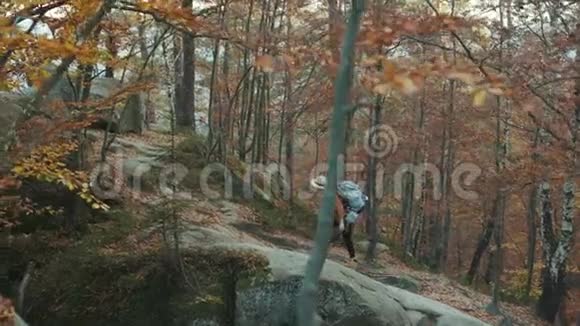 迷人的女游客肩上背着一个背包穿过秋天的森林穿过岩石视频的预览图