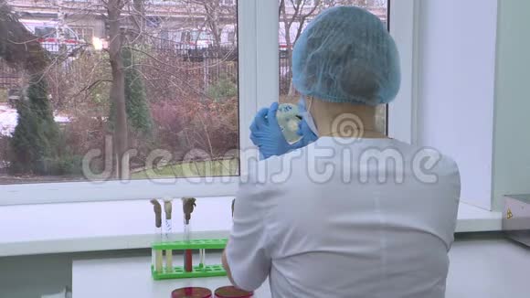 一位女科学家在实验室里用微型吸管进行研究生物技术视频的预览图