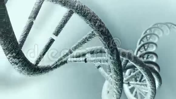 动画长DNA链可循环4K视频的预览图