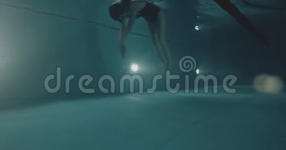 业余女游泳运动员海豚技术视频的预览图