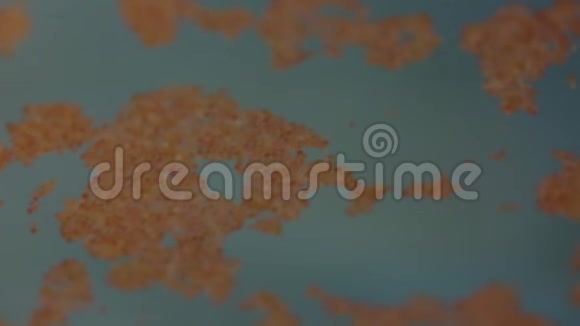 鱼卵漂浮在水中视频的预览图