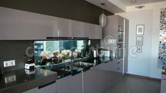 现代化公寓的厨房配有美丽的水族馆和五颜六色的鱼视频的预览图