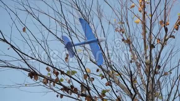 蓝色玩具飞机卡在树枝上视频的预览图