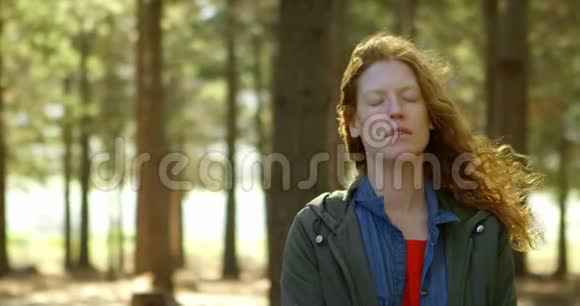 女人站在森林里闭着眼睛视频的预览图