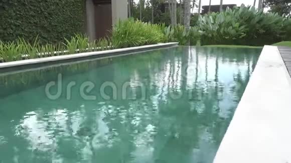 热带度假胜地游泳池的热带水果和可可视频的预览图