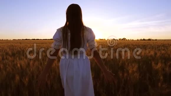 美丽的女人跑过田野带着金色的小麦在夕阳下发光慢动作视频的预览图