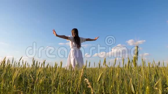 美丽的女孩长发在飞行中旋转伸出双手在田野里微笑小麦在蓝天上飞舞视频的预览图