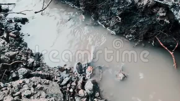溪流干燥自然干燥视频的预览图