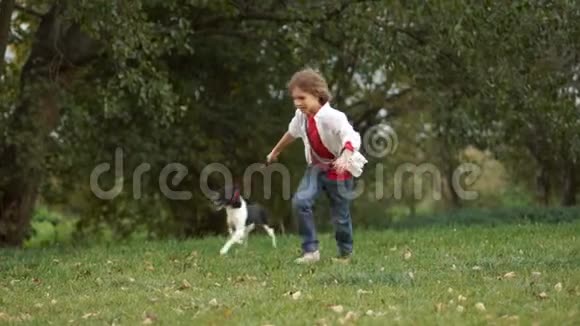 一个带着狗在公园散步的男孩孩子跑着突然摔倒动态行走安全规则视频的预览图