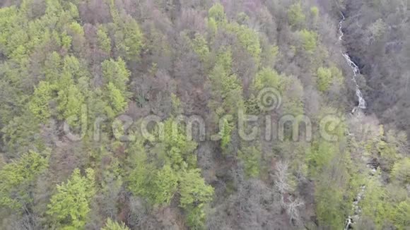 在保加利亚维托沙山的博雅纳瀑布上春天无人机飞过瀑布一片有松树和黄鼠狼的森林视频的预览图