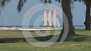 沙滩上的白色帆船视频的预览图