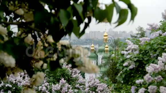 带金色圆顶的大教堂开着花的丁香花丛视频的预览图